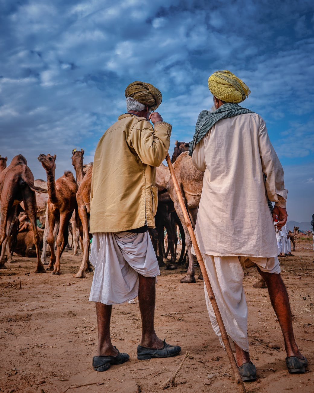 unrecognizable ethnic senior men in desert